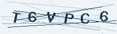 Six-character security code